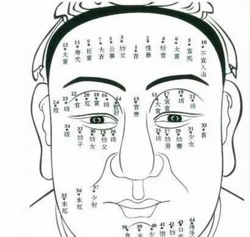 面相怎么看近期运势男人（面相怎么看近期运势男人财运）