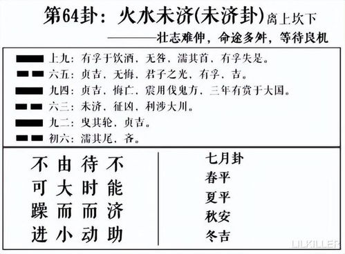 感情运势：梅花解卦感情运势详解图（梅花卦怎么解感情）
