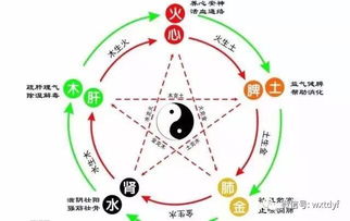 土象火象近期复合运势（土象火象星座般配吗）