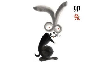 感情运势：属兔的5月感情运势（属兔5月份运势怎么样）