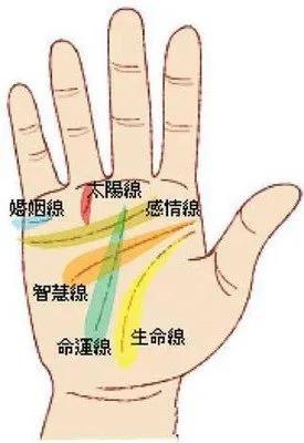 掌纹怎么看近期运势女（如何看掌纹女）