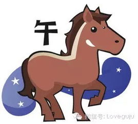 感情运势：龙年属马的感情运势好吗（属龙人遇马年）