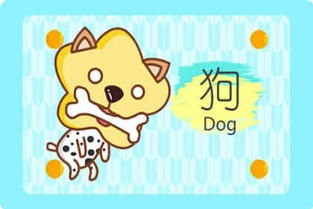 今日运势：今日属狗运势方向如何（今日属狗运势方向如何呢）