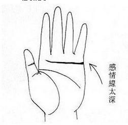 感情运势：面相分析女生的感情运势（面相 女生）