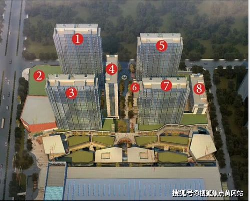 感情运势：黄景瑜感情运势分析视频（黄景瑜感情运势分析视频最新）
