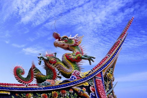 今日运势：属龙龙人今日运势（属龙人今日运势神巴巴）