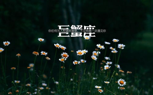 感情运势：4月份巨蟹感情运势（巨蟹座4月份爱情）