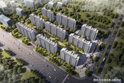 今日运势：张家口今日运势（张家口今日限号最新消息）