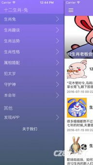 今日运势：兔今日运势如何十二（兔今日运程每日运势查询）