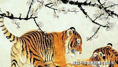 今日运势：虎女座今日运势（虎女座今日运势及运程）
