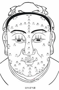 面相看人的近期运势图（面相运势分析）