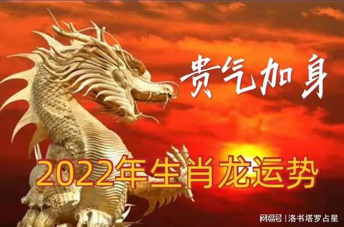 感情运势：属龙人感情运势查询今日（属龙2021情感）