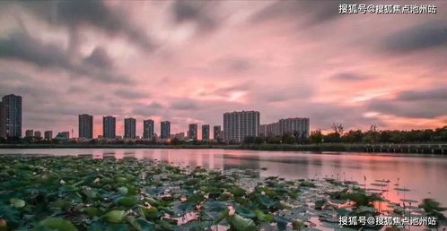 感情运势：天秤座本周感情运势图文（天秤座本周感情运势图文解析）