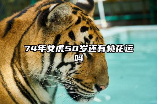 74年虎女近期感情运势（74年属虎女2020感情）