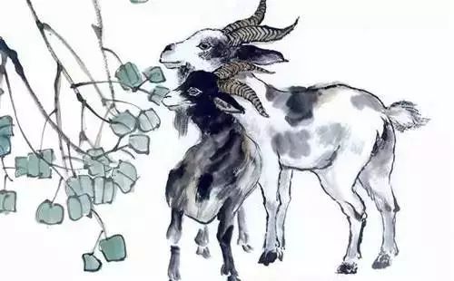 属马人近期运势运程（属马近期运气）