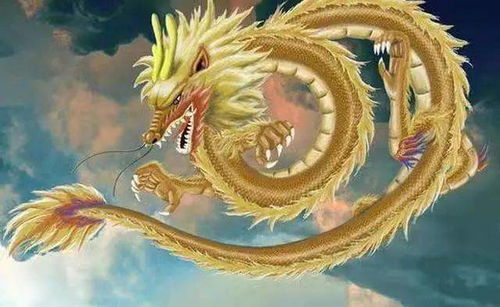 感情运势：属龙人22年感情运势（属龙人22年感情运势怎么样）