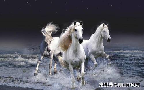 感情运势：属马6月感情复合运势（属马2021年6月感情运势）