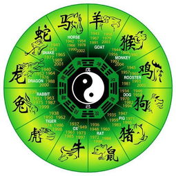 今日运势：今日麻将运势属马（属马今日麻将占卜）