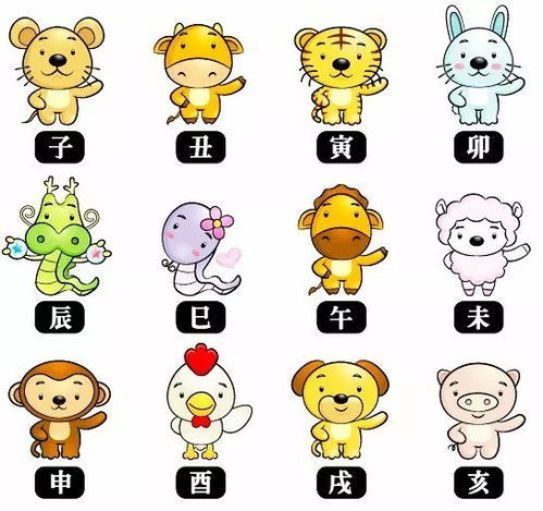 今日运势：肖鼠的今日运势（属相鼠今日运势）
