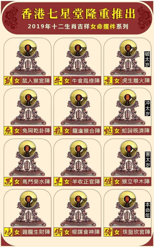 今日运势：生肖今日穿衣运势男性（生肖 今日运势）
