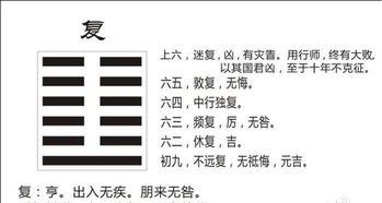 感情运势：大畜卦六五爻感情运势（大畜卦六五爻感情运势详解）