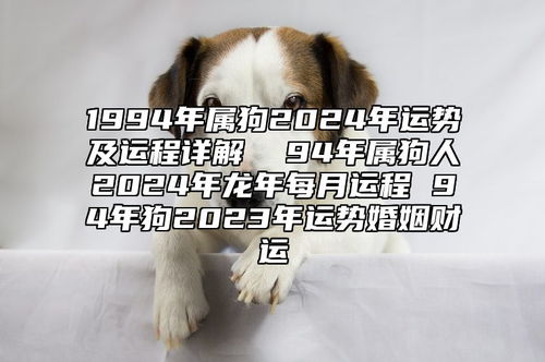 今日运势：属狗94年今日运势（94年属狗今天财运）