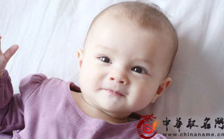 宝宝取名：鸡宝宝怎么取名字最好（鸡宝宝取什么名字好）