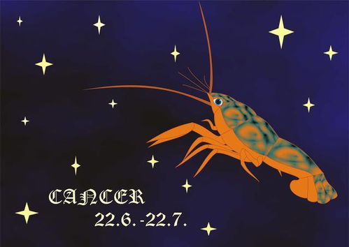 今日运势：属羊今日求职运势（属羊人今日运势十二星座网）