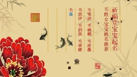 宝宝取名：姓贺的宝宝该怎么取名（姓贺的宝宝该怎么取名男孩）