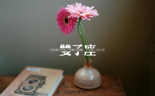 感情运势：1月份感情运势如何（2021年1月感情运势）