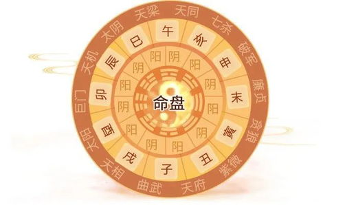 今日运势：算命紫微今日运势如何（紫微今日运势免费查询）