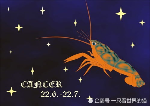 双子座近期15天运势（双子最近运势）