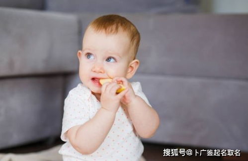 宝宝取名：男孩性别王牛宝宝怎么取名（姓王的牛宝宝男孩小名）