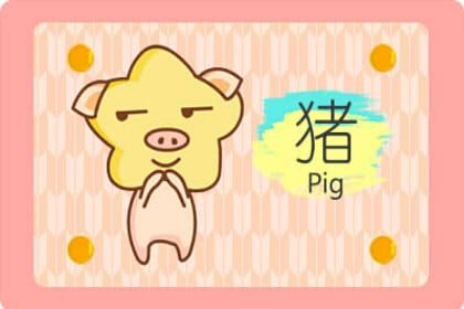 今日运势：今日属猪麻将财运运势（今日属猪麻将财运运势如何）