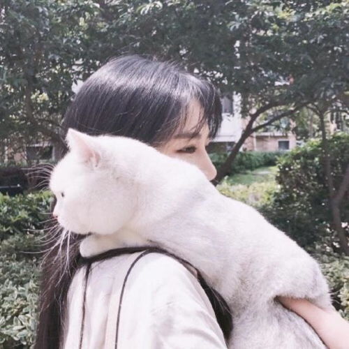 今日运势：美国什么今日明日运势（今天美国啥日子）