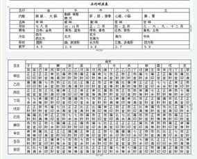 八字合婚：合婚生辰八字配对怎么看准确一点（生辰八字合婚怎么合呢其方法具体明确）