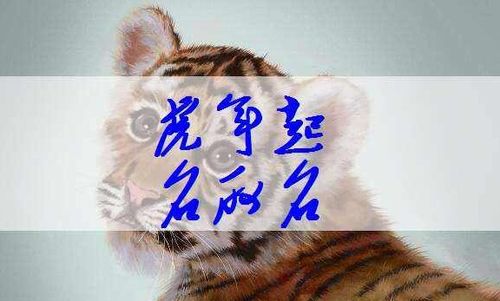 宝宝取名：虎年男宝宝姓葛怎么取名（葛姓男孩取名）