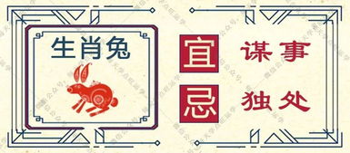 感情运势：生肖鼠2月感情复合运势（生肖鼠二月运势）