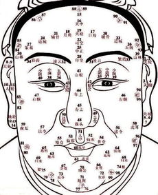 面相和近期运势的关系图（面相分析2021）
