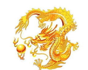 今日运势：属龙今日运势卜（属龙今日运势查）