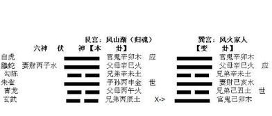 感情运势：临卦预示感情运势吗好吗（临卦象征意义）