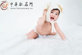 宝宝取名：给小孩取名兔宝宝怎么取（兔宝宝叫什名字好）