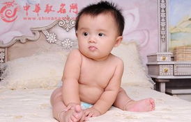 宝宝取名：宝宝乳名龙凤胎怎么取名（有意思的龙凤胎乳名）