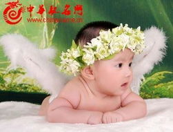 宝宝取名：给龙年的宝宝取名怎么取（龙年宝宝名字大全免费）