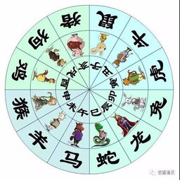 八字合婚：两个属蛇的八字合不合婚（两个属蛇的人婚配好吗）