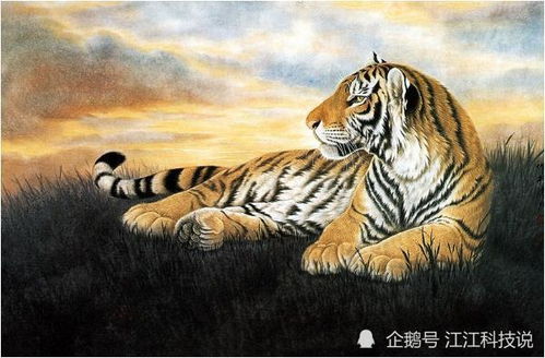 八字合婚：双虎双兔的八字合不合婚姻（双虎八字是什么意思）