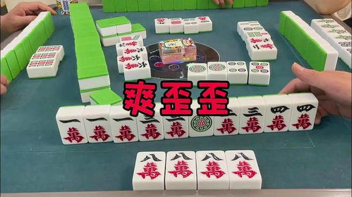 今日运势：鸡今日麻将运势财运（鸡今日麻将运势财运如何）