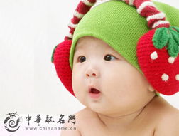 宝宝取名：张姓宝宝取名兔年怎么取（张姓属兔男孩名字大全）
