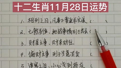 感情运势：兔11月份感情运势（属兔的11月运势如何）