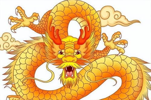 今日运势：生肖龙今日运势大全（生肖龙今日运势及财运）